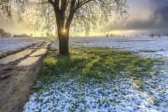 Nevicata tardiva sui campi di Ardenno