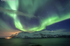 Aurora boreale tra i fiordi delle Lofoten